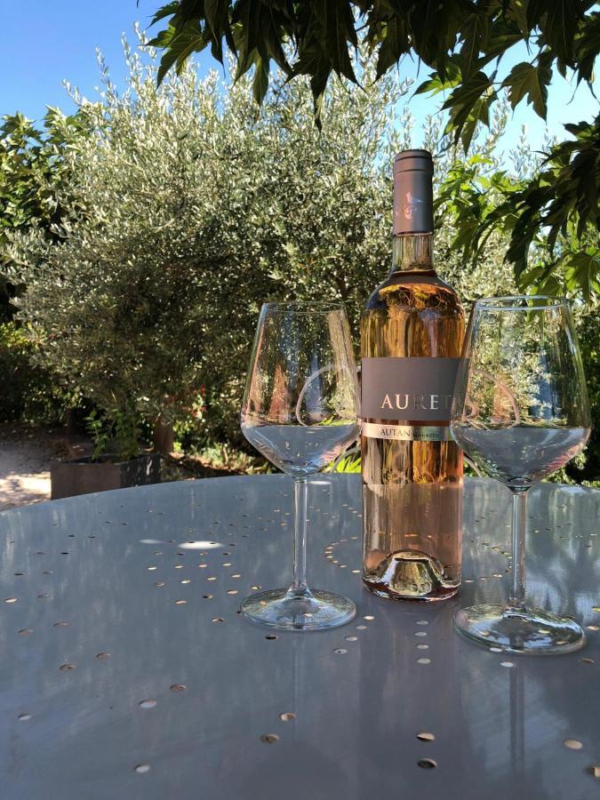 Gite Roussillon Dame Sirmonde Leilighet Eksteriør bilde